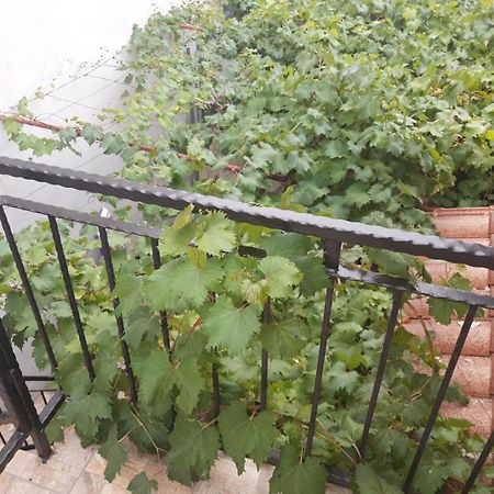 Melon-1, Murter, House For Rest エクステリア 写真
